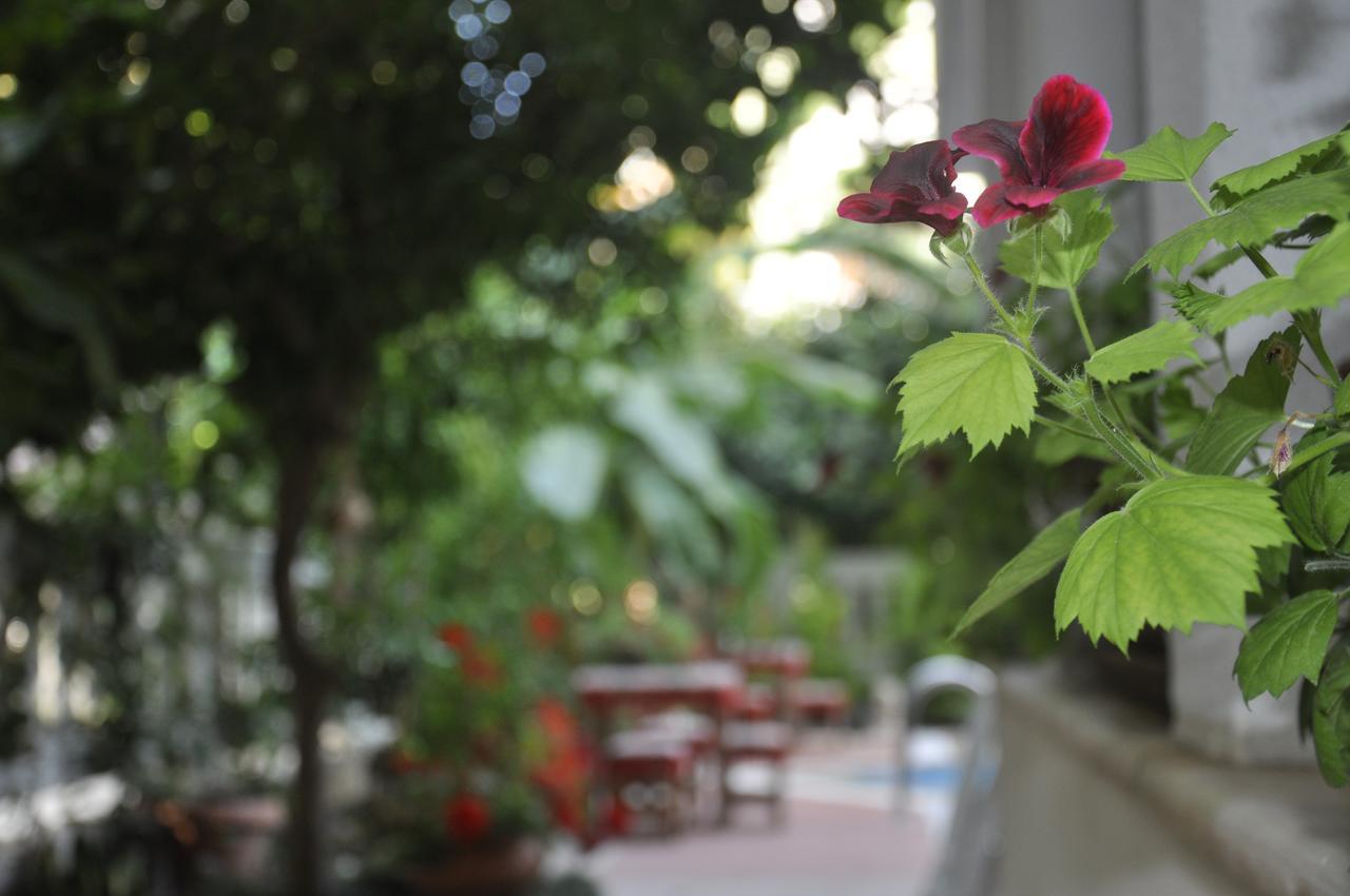 Hotel Villa Casablanca Bahtili ภายนอก รูปภาพ